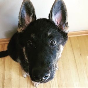 Meet your Posher, Lorma